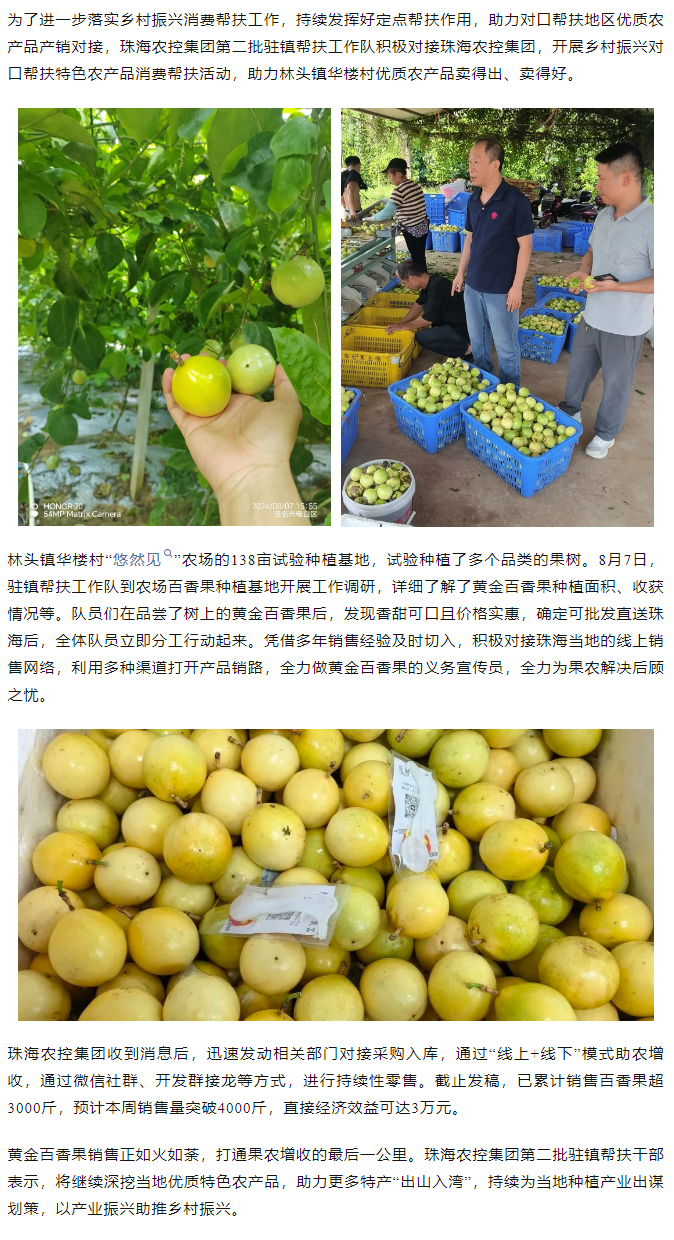 星际（中国）官方集团助力产销对接 对口帮扶果香飘百里.png